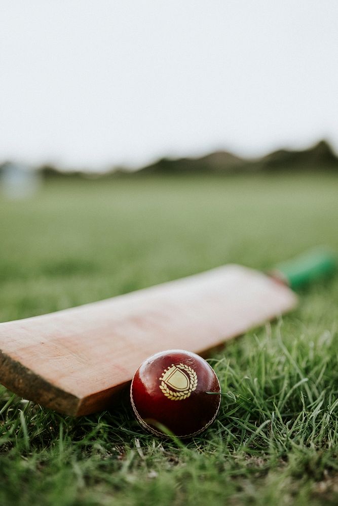 Exploring the impact of referee decisions on cricket betting