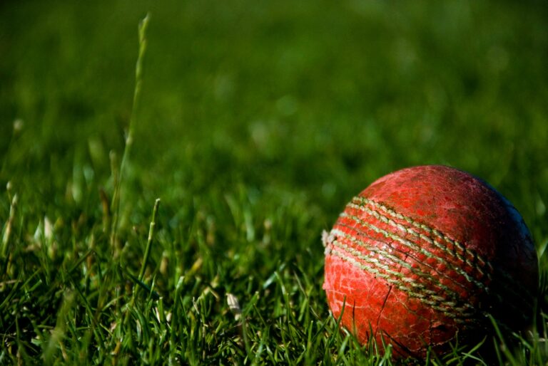 The Rise of T20 Cricket and Its Influence on the Sport