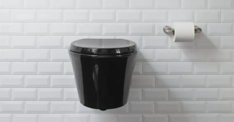 Understanding the Importance of a Good Toilet: Function, Features, and Maintenance