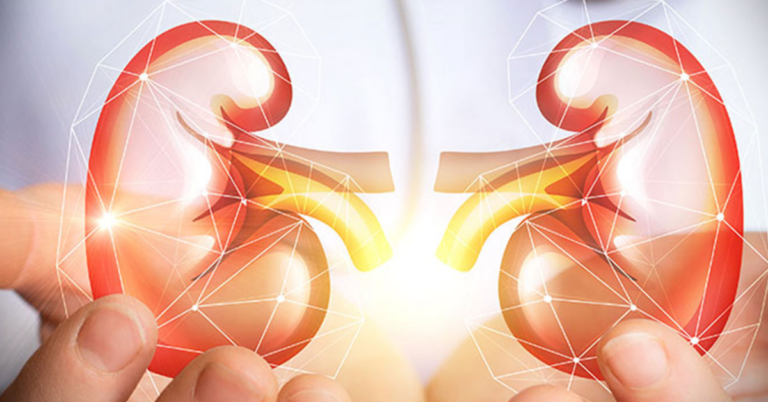 Kidney Failure Stem Cell Treatment in India: A Breakthrough Solution for Renal Disorders