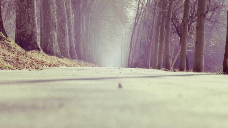 How Do I Make Payments Through Https 11Xplay Pro Deposit?